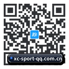 iOS 苹果生态原生版 二维码